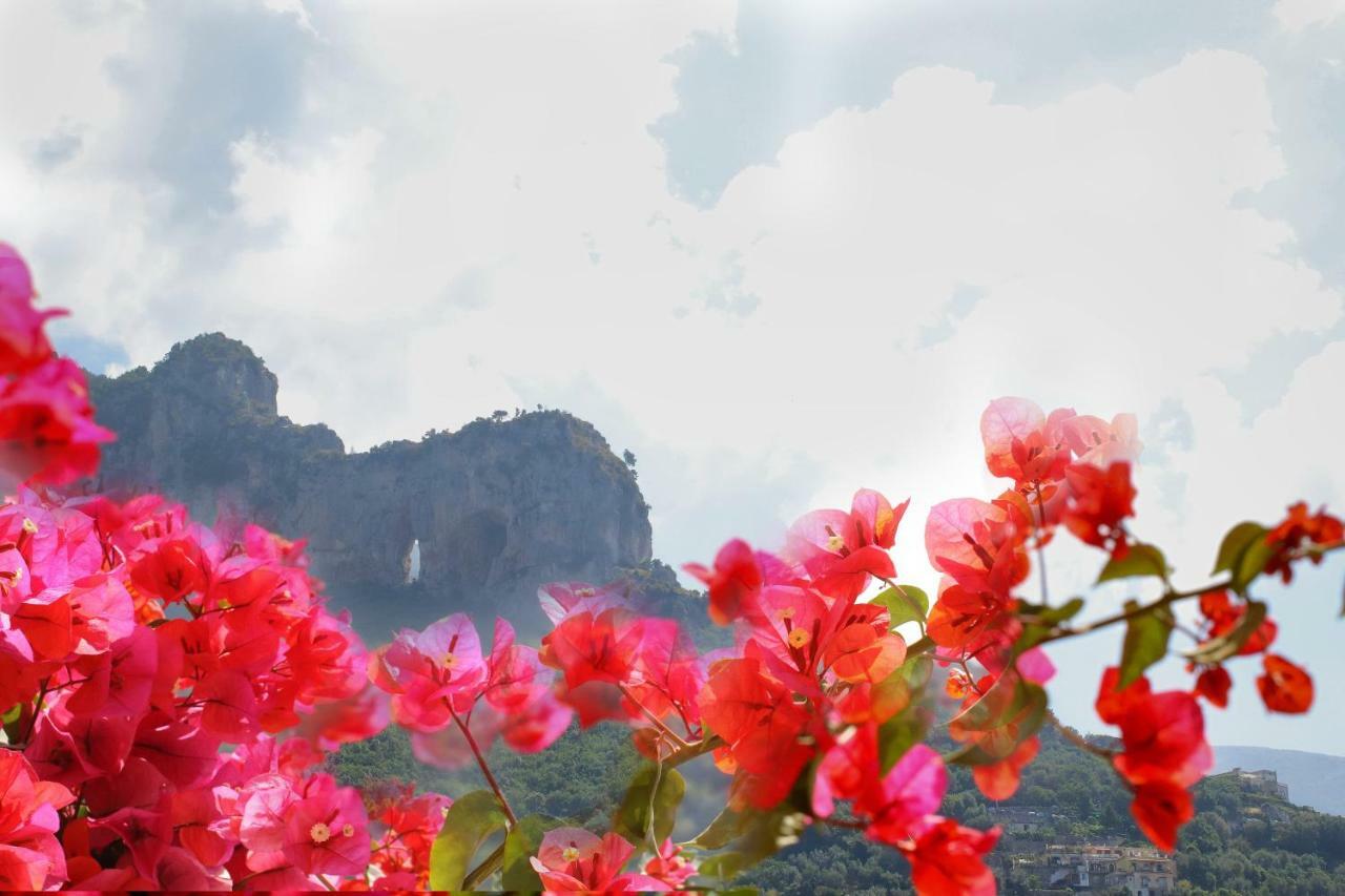 Positano Holidays Extérieur photo